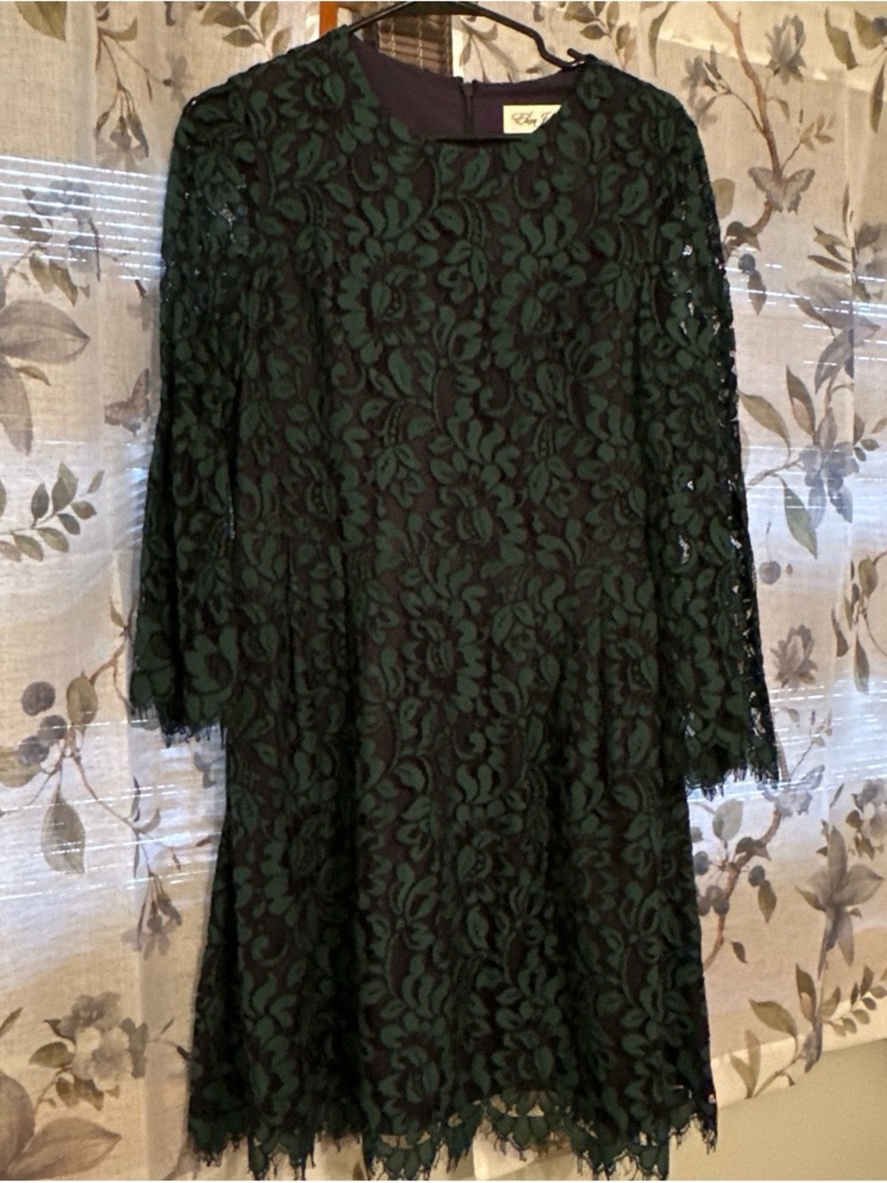 Eliza J Dark Green and Black Lace Shift Dress